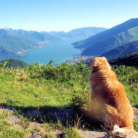 Le Baite Di Bodone-2 By Interhome Nyaraló