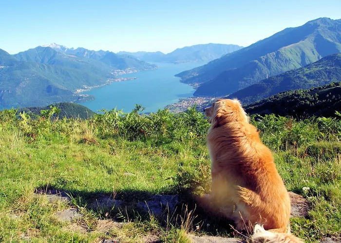 Le Baite Di Bodone-2 By Interhome Дом отдыха